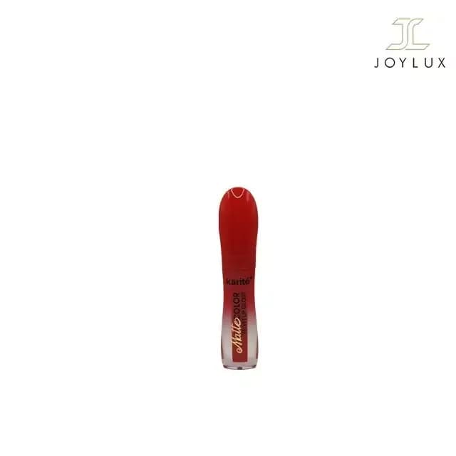 رژ لب مایع شماره 17 | رژینا رژ لب مایع شماره 17