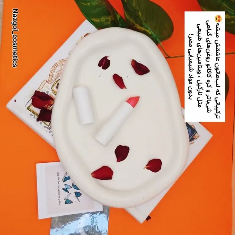 بالم لب گیاهی | رژینا بالم لب گیاهی