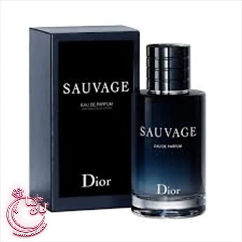 عطر مردانه ساواج دیور عطر ادکلن دیور ساوج ادو پرفیوم | رژینا عطر مردانه ساواج دیور عطر ادکلن دیور ساوج ادو پرفیوم