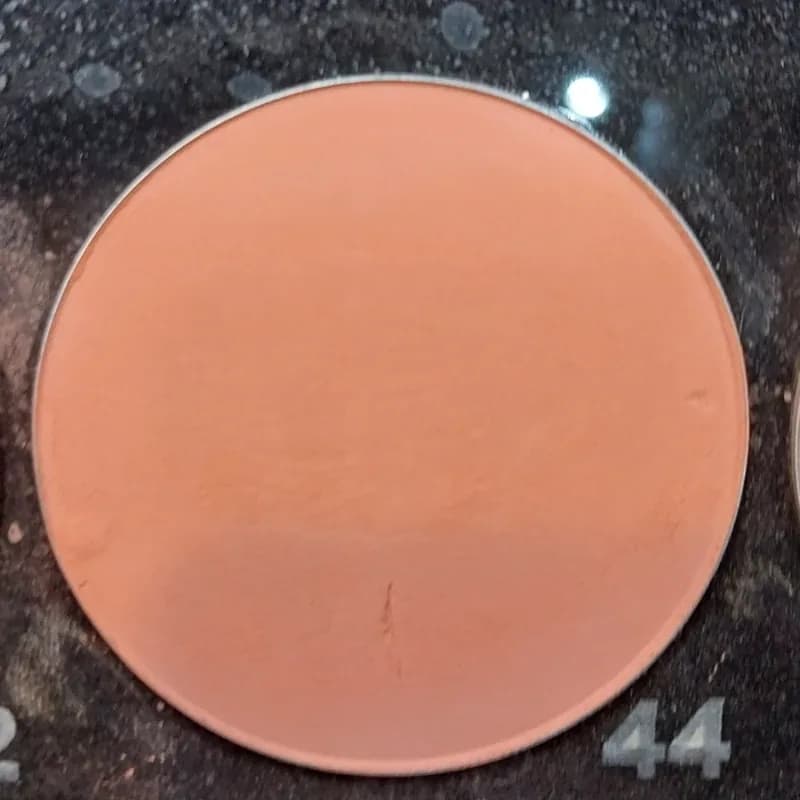 رژگونه مات و مخملی سکرت پرتی شماره44 رنگ گل بهی | رژینا رژگونه مات و مخملی سکرت پرتی شماره44 رنگ گل بهی